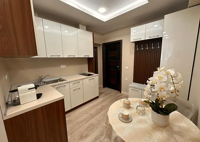 Luxury Apartments 1